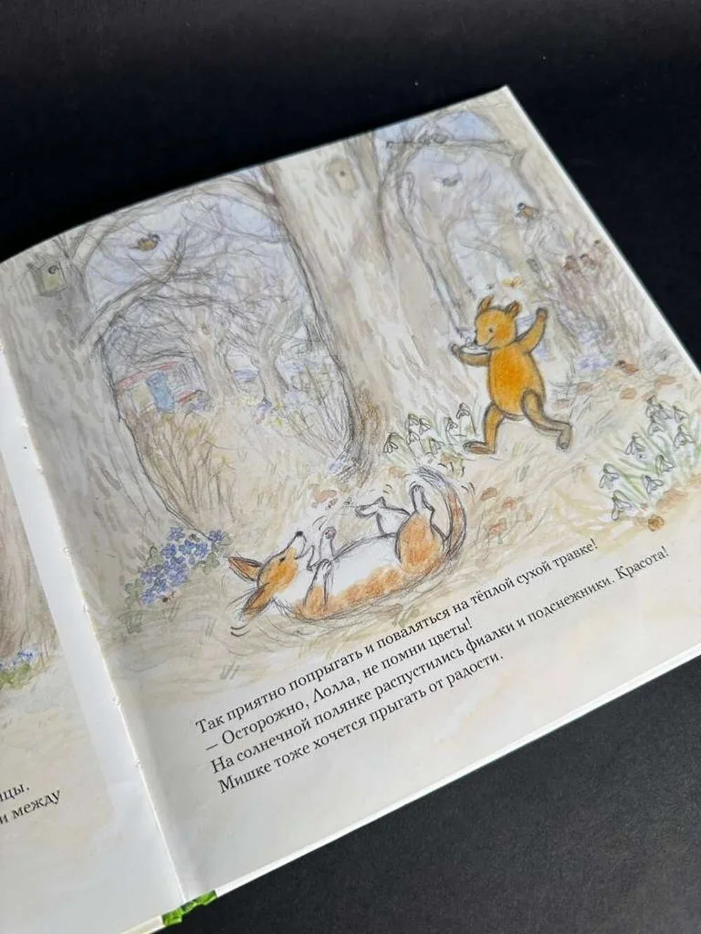 Весна мишки Бруно (Bruno Bear's Spring) детские книги - Picture 2 of 2